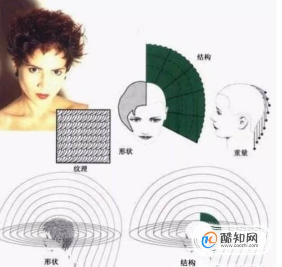 ��ѧ�������ż�������